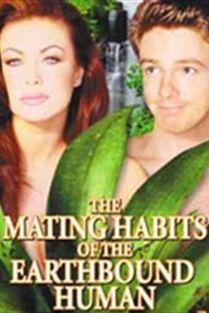 求爱X档案,爱情密码大揭秘